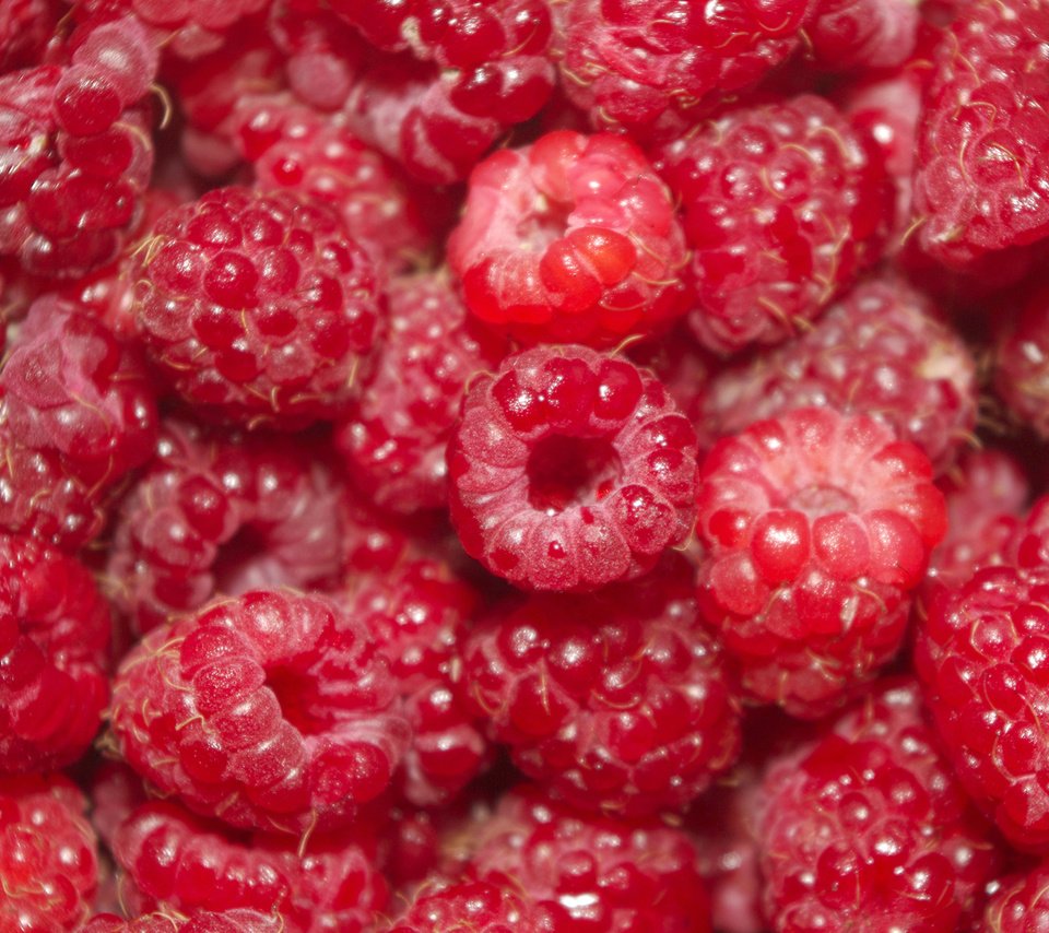 Обои малина, ягоды, raspberry, berries разрешение 1920x1200 Загрузить