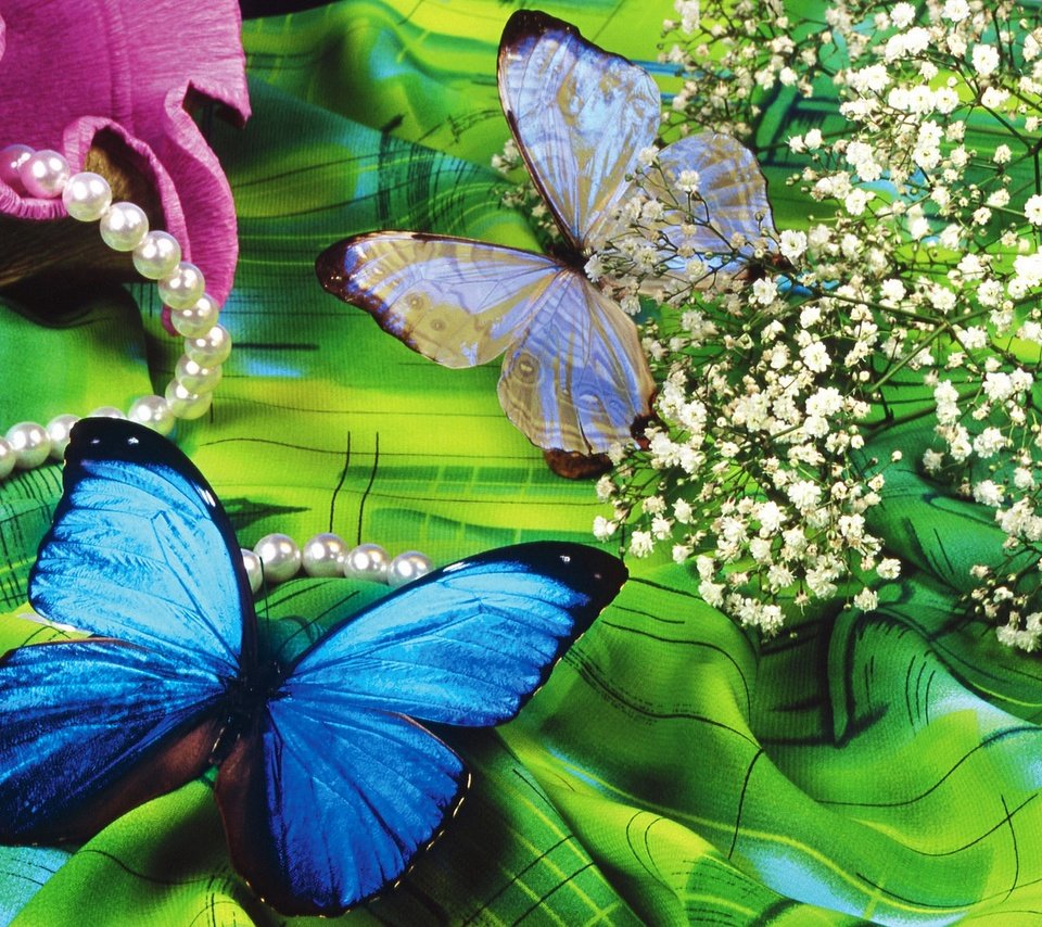 Обои бабочка, butterfly разрешение 1920x1440 Загрузить