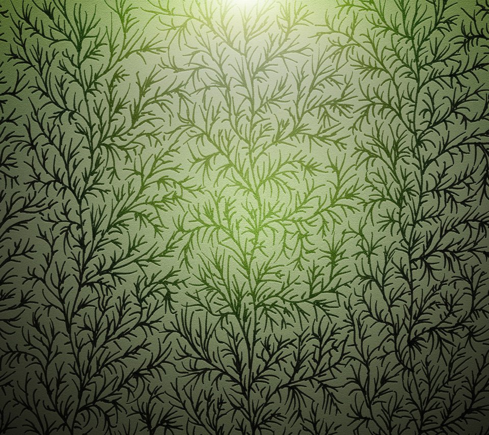 Обои текстура, зелёный, ветки, узор, стебли, растение, растительность, texture, green, branches, pattern, stems, plant, vegetation разрешение 1920x1200 Загрузить