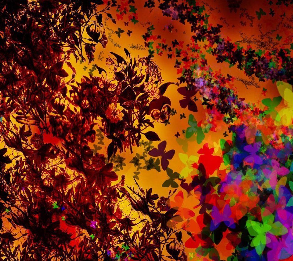 Обои цветы, абстракция, узор, цвет, фракталы, бабочки, flowers, abstraction, pattern, color, fractals, butterfly разрешение 1920x1080 Загрузить