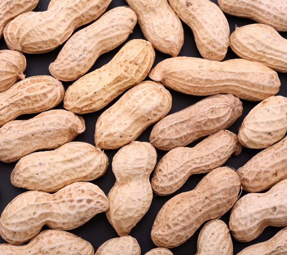Обои орехи, арахис, nuts, peanuts разрешение 1920x1280 Загрузить