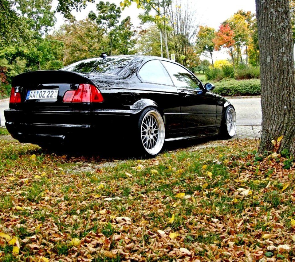 Обои деревья, листья, осень, газон, бмв, trees, leaves, autumn, lawn, bmw разрешение 2000x1500 Загрузить