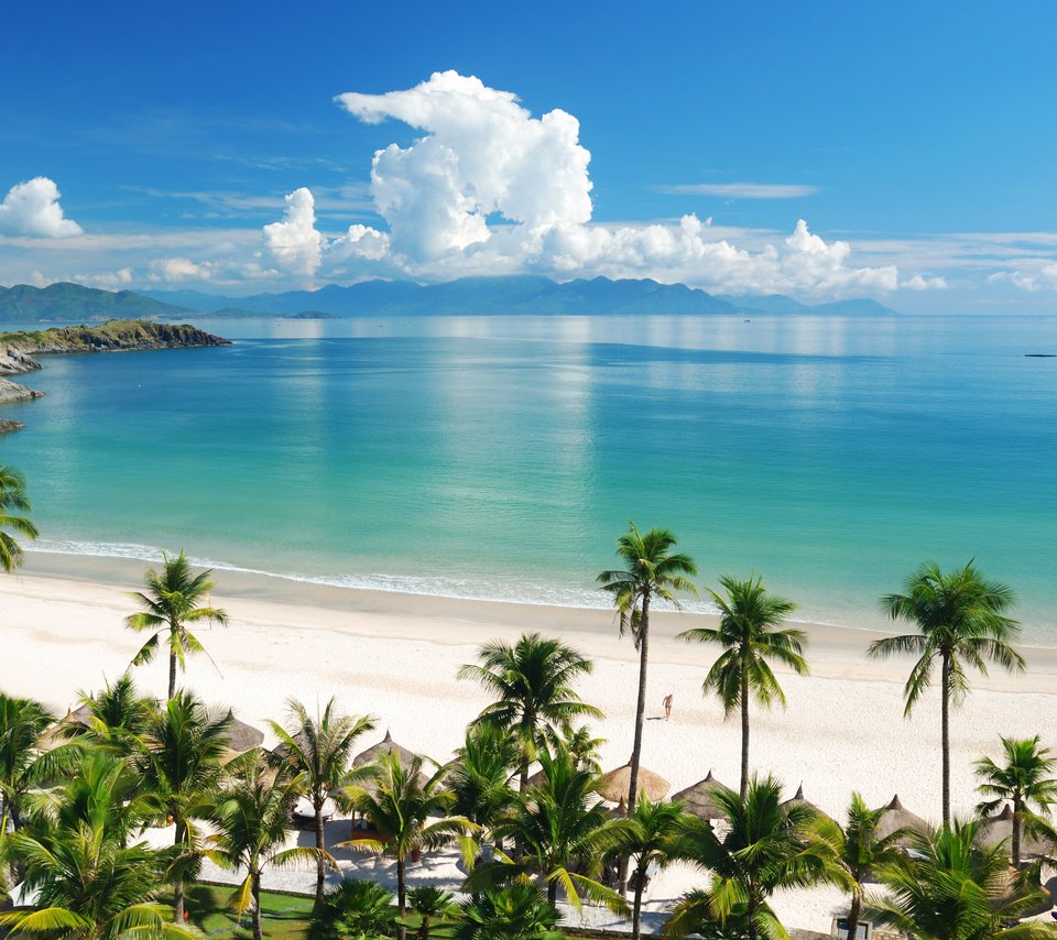 Обои пляж, пальмы, тропики, beach, palm trees, tropics разрешение 3804x2486 Загрузить