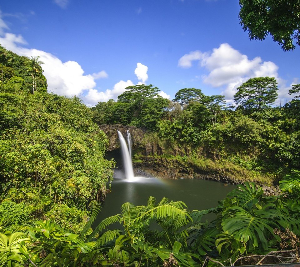 Обои деревья, лес, водопад, тропики, гавайи, trees, forest, waterfall, tropics, hawaii разрешение 2800x1860 Загрузить