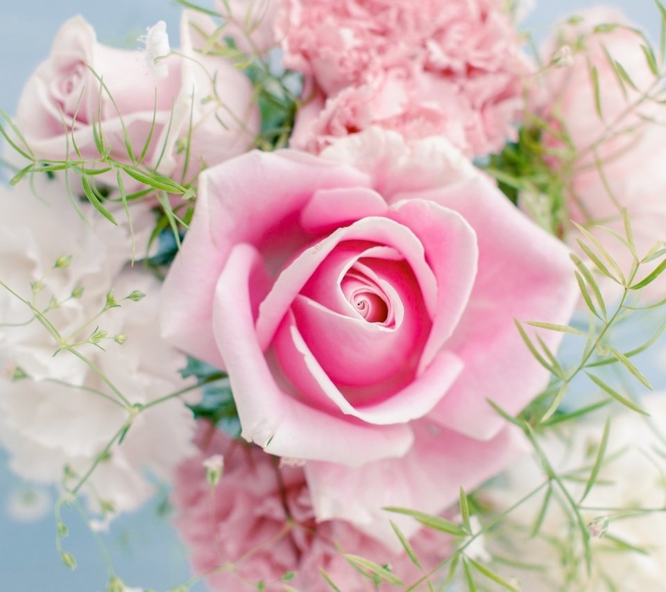 Обои цветы, роза, цвет, букет, розовый, светлый,  цветы, пинк, гипсофила, flowers, rose, color, bouquet, pink, light, gypsophila разрешение 1920x1200 Загрузить