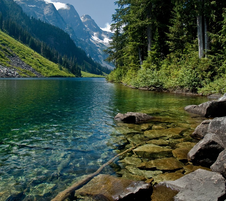 Обои деревья, вода, горы, природа, горная река, trees, water, mountains, nature, mountain river разрешение 2560x1600 Загрузить