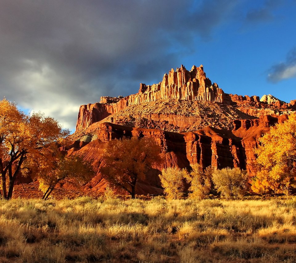 Обои скала, осень, каньон, сша, национальный парк, капитол-риф, capitol reef national park, осенний пейзаж, rock, autumn, canyon, usa, national park, capitol reef разрешение 2560x1600 Загрузить