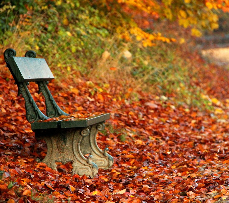 Обои парк, осень, скамейка, скамья, park, autumn, bench разрешение 4702x3242 Загрузить