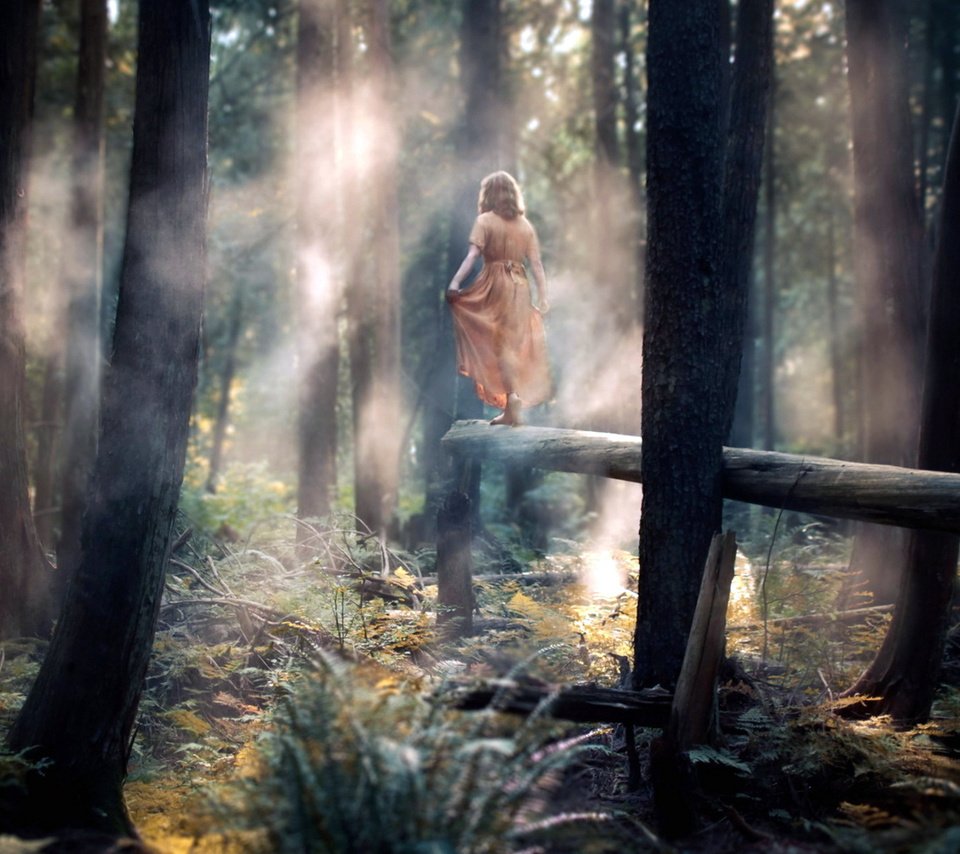 Обои лес, девушка, настроение, платье, туман, forest, girl, mood, dress, fog разрешение 1920x1200 Загрузить