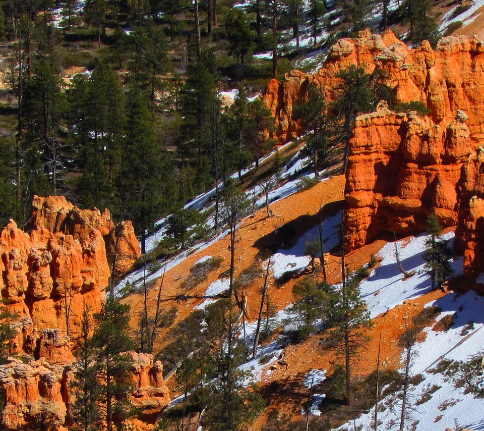 Обои деревья, скалы, снег, пейзаж, каньон, сша, штат юта, trees, rocks, snow, landscape, canyon, usa, utah разрешение 2048x1141 Загрузить