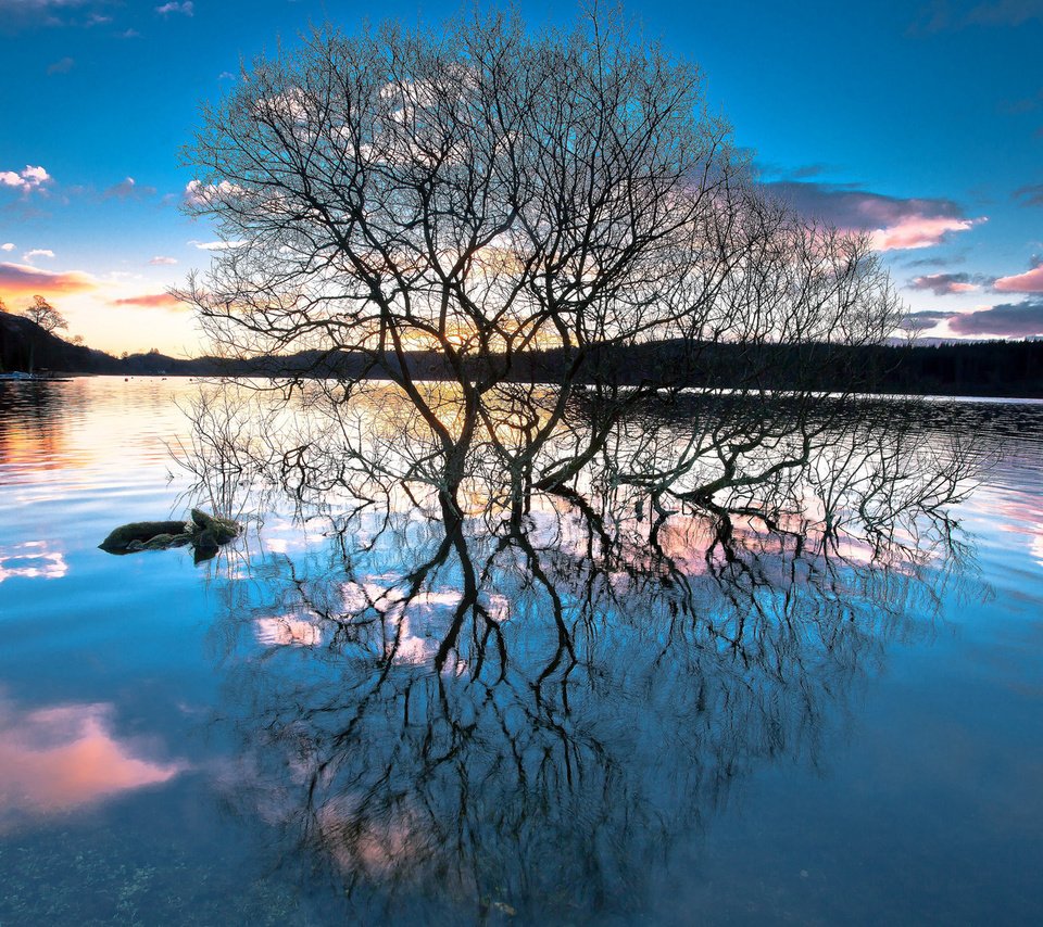 Обои деревья, озеро, лес, закат, отражение, trees, lake, forest, sunset, reflection разрешение 1920x1200 Загрузить