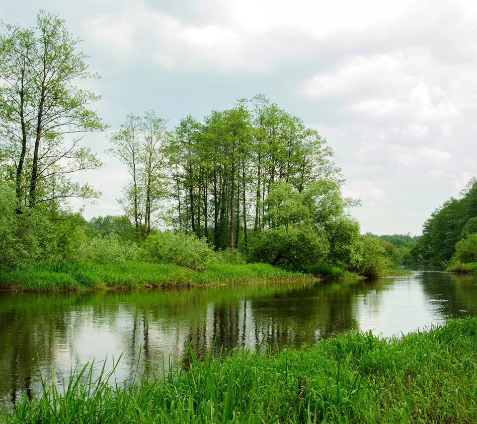 Обои трава, деревья, пейзаж, лето, реки, grass, trees, landscape, summer, river разрешение 1920x1200 Загрузить