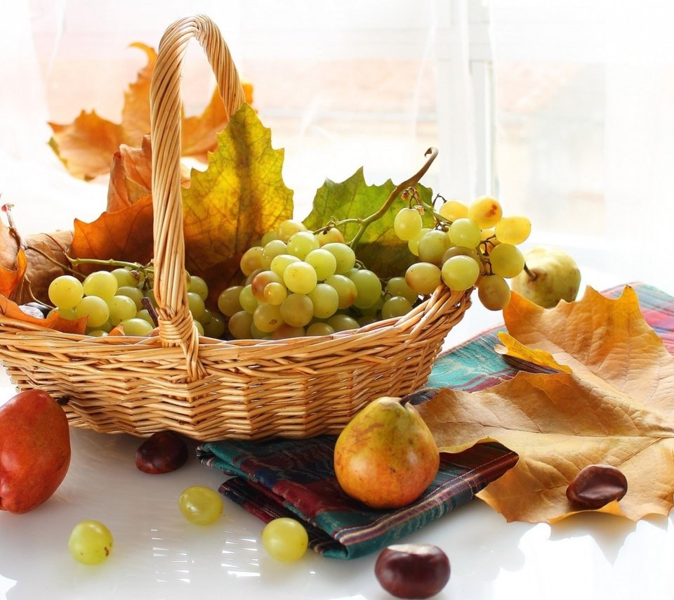 Обои листья, виноград, фрукты, осень, корзинка, груши, leaves, grapes, fruit, autumn, basket, pear разрешение 1920x1293 Загрузить