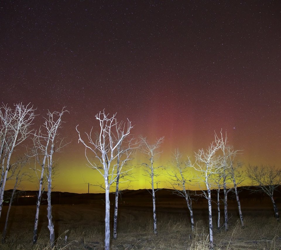 Обои небо, свет, ночь, деревья, звезды, зарево, the sky, light, night, trees, stars, glow разрешение 2048x1365 Загрузить