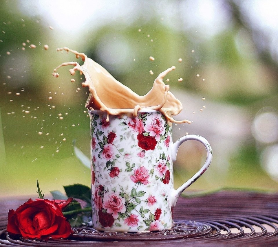 Обои роза, кофе, брызги, кружка, настроения, чашка, розочка, rose, coffee, squirt, mug, mood, cup, rosette разрешение 1920x1200 Загрузить