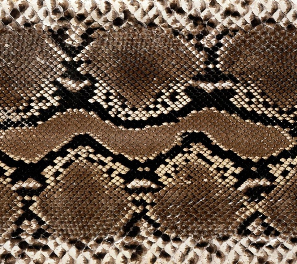 Обои текстура, змея, кожа, расцветка, питон, змеиная кожа, texture, snake, leather, colors, python, snakeskin разрешение 1920x1200 Загрузить
