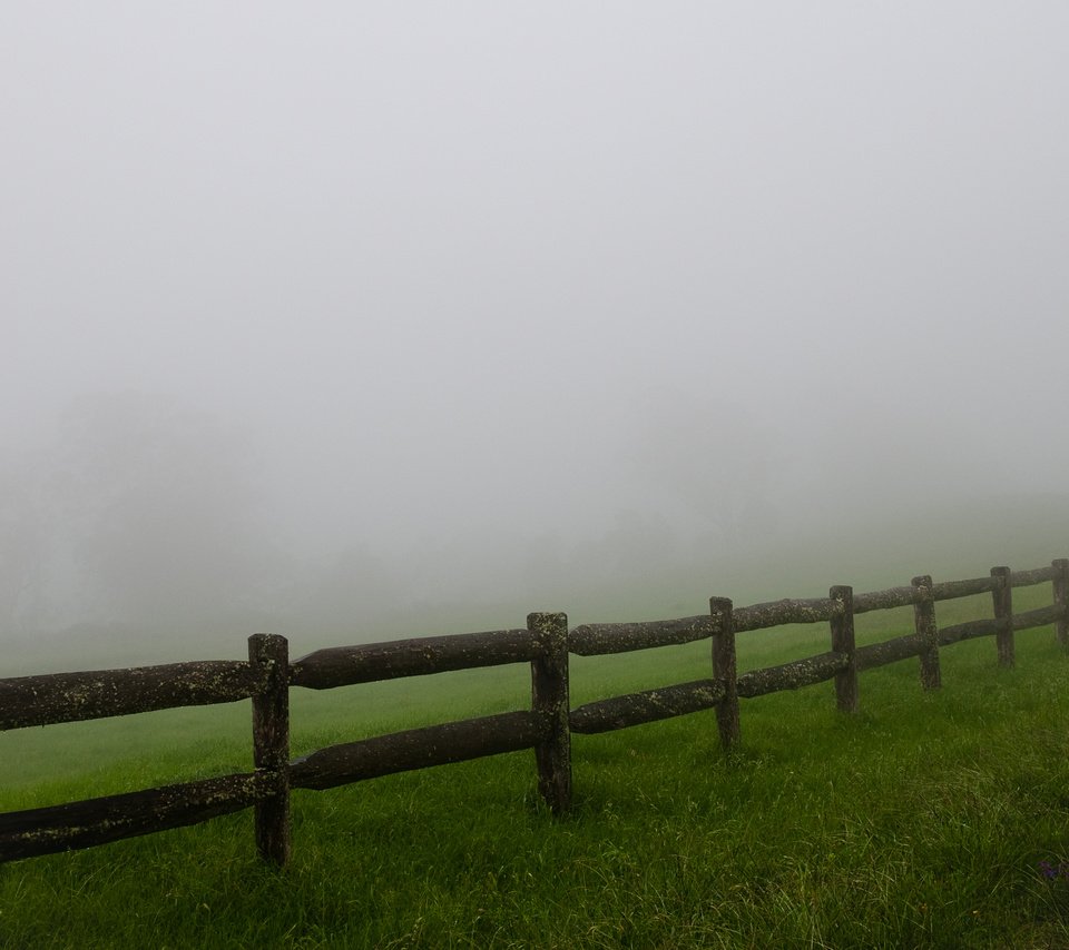 Обои трава, туман, поле, забор, ограждение, мгла, grass, fog, field, the fence, haze разрешение 2560x1600 Загрузить