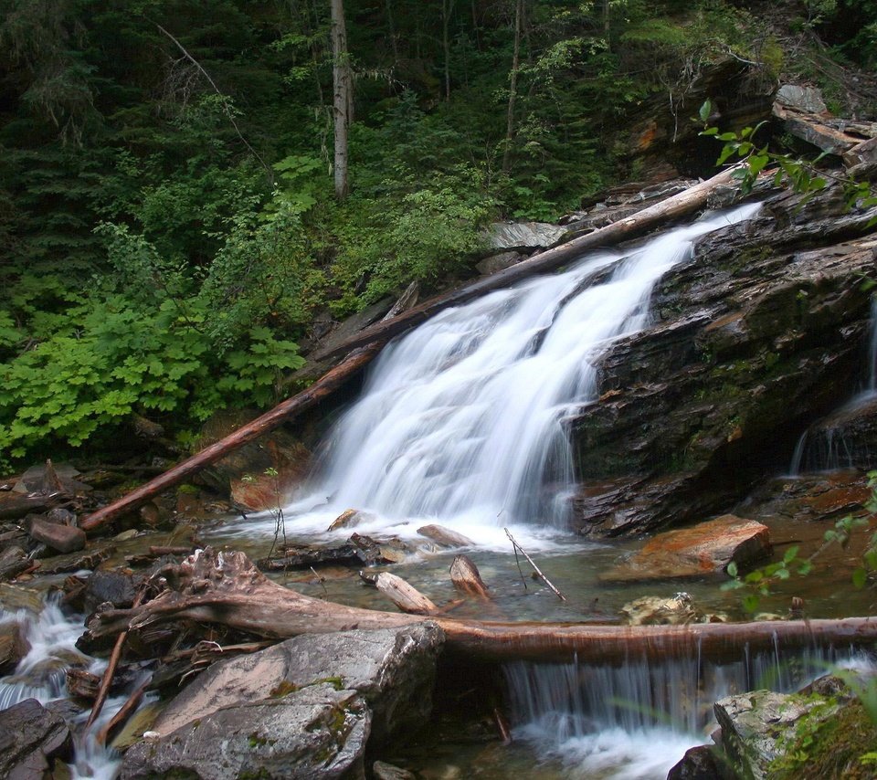 Обои деревья, природа, камни, лес, кусты, водопад, обломки, речка, trees, nature, stones, forest, the bushes, waterfall, the wreckage, river разрешение 2560x1600 Загрузить