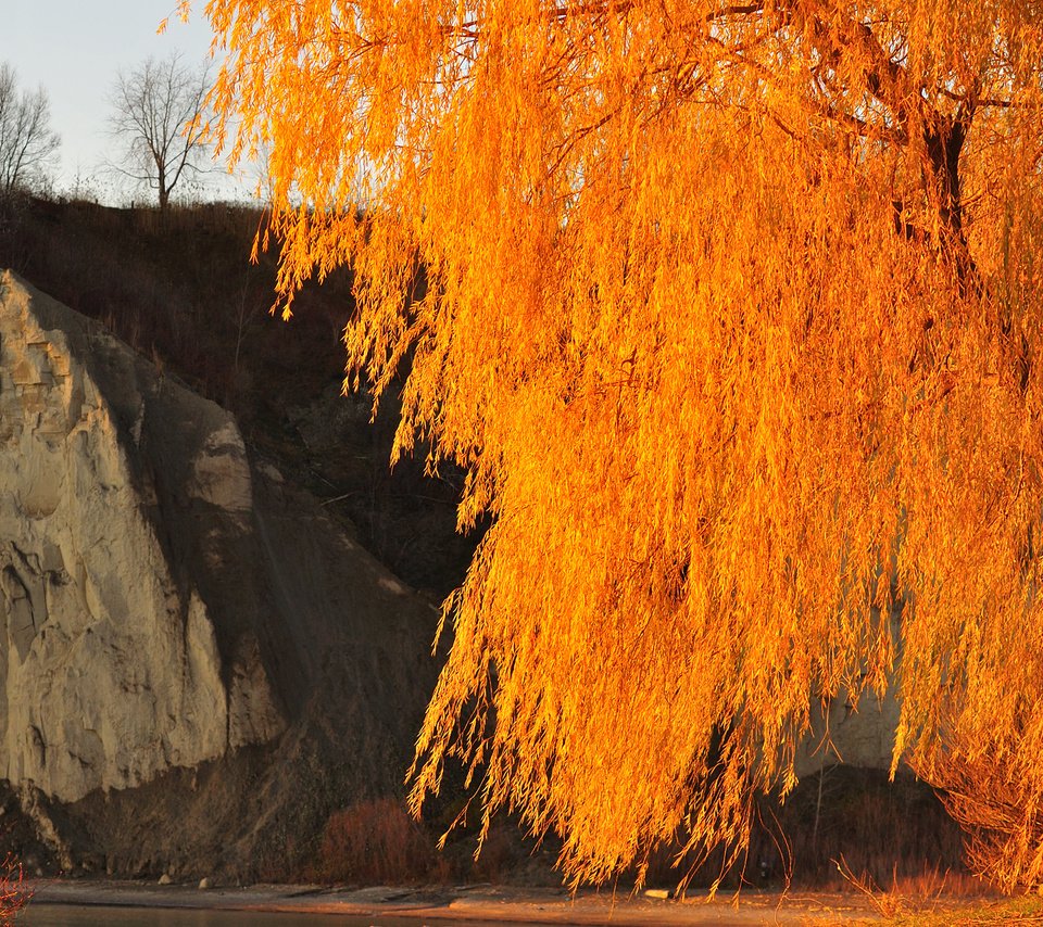 Обои небо, дерево, скала, осень, the sky, tree, rock, autumn разрешение 2048x1360 Загрузить