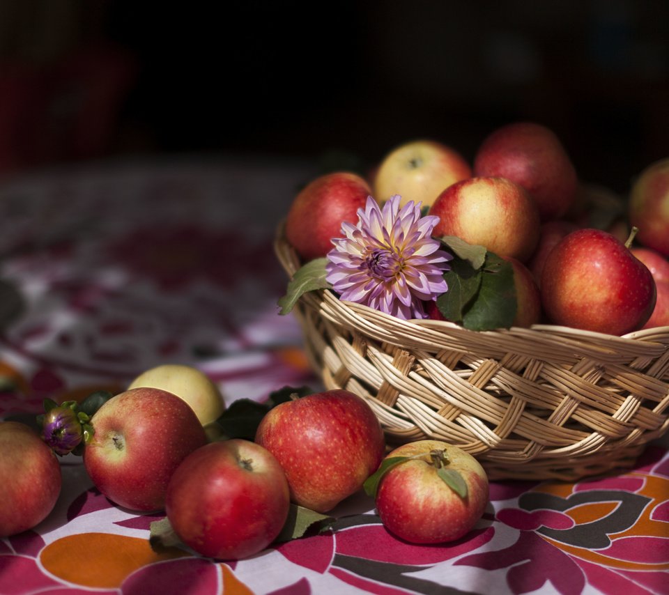 Обои еда, фрукты, яблоки, food, fruit, apples разрешение 5616x3744 Загрузить