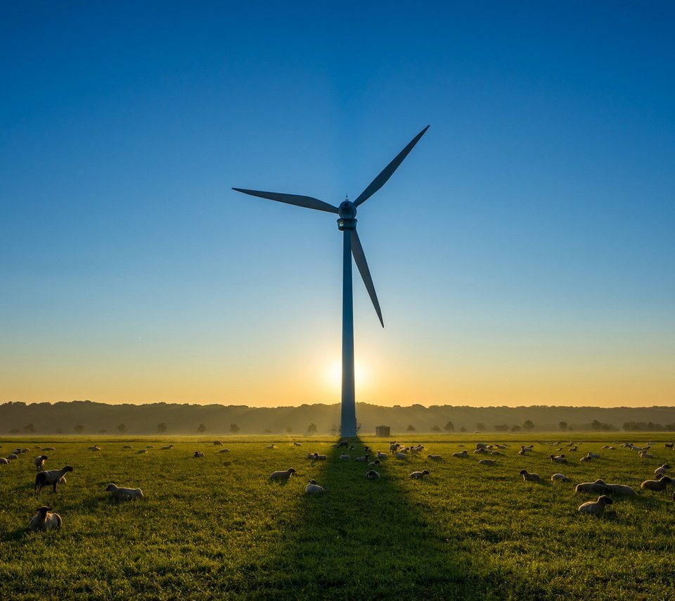 Обои небо, утро, поле, ветряк, овцы, ветряная турбина, the sky, morning, field, windmill, sheep, wind turbine разрешение 1920x1080 Загрузить