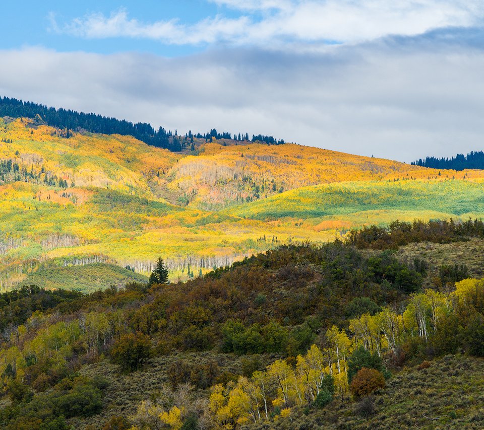 Обои деревья, горы, холмы, пейзаж, осень, trees, mountains, hills, landscape, autumn разрешение 1920x1280 Загрузить