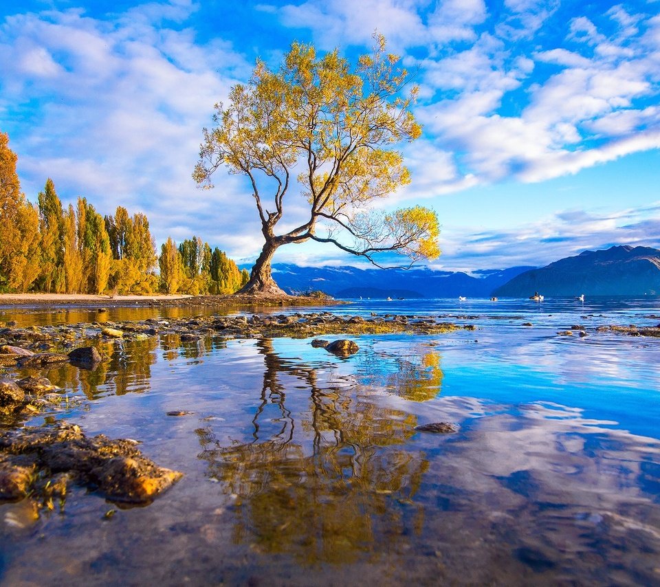 Обои вода, горы, дерево, камни, лес, отражение, оезро, water, mountains, tree, stones, forest, reflection, outro разрешение 1920x1087 Загрузить