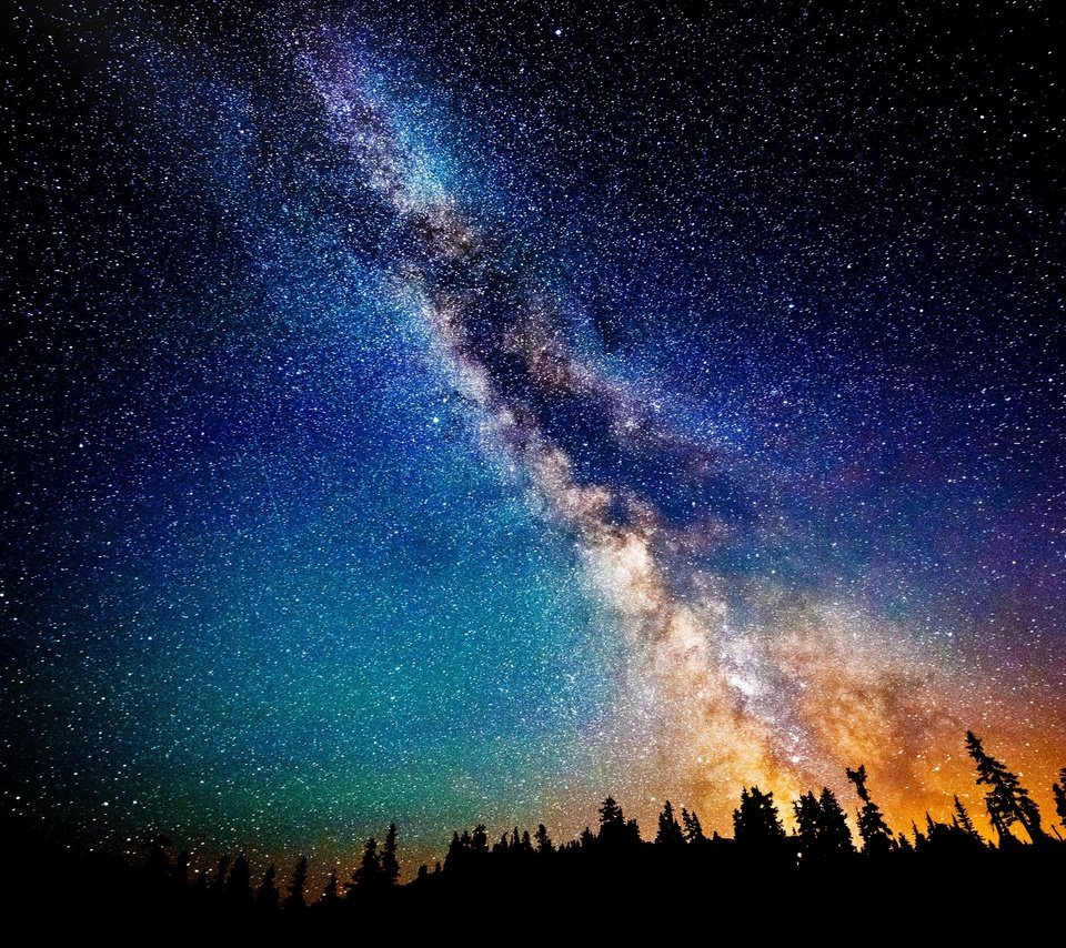 Обои небо, деревья, лес, звезды, млечный путь, the sky, trees, forest, stars, the milky way разрешение 2560x1600 Загрузить