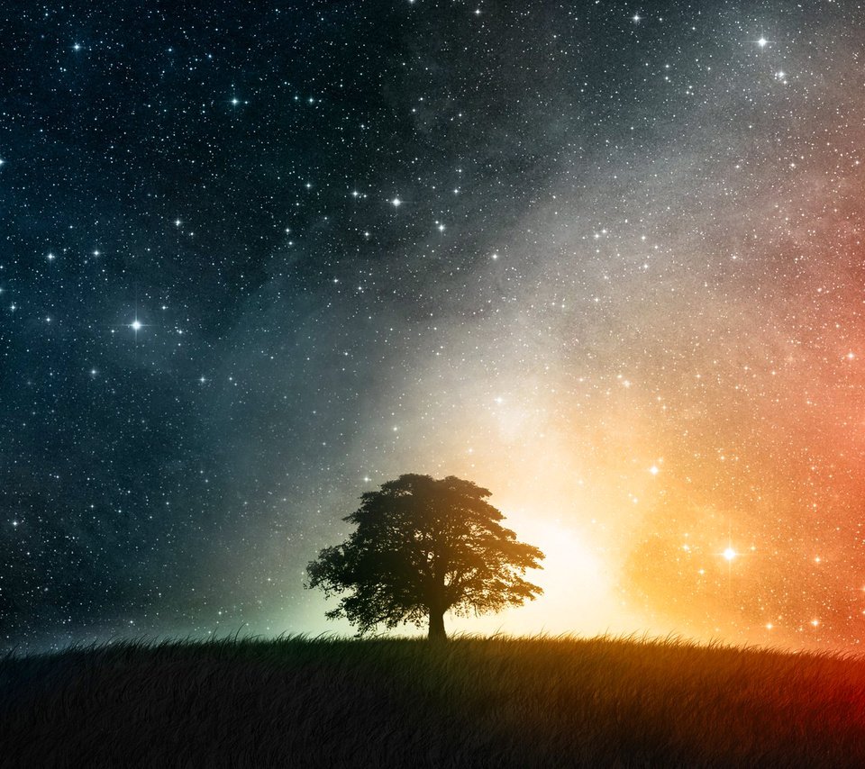 Обои небо, трава, природа, дерево, звезды, поле, the sky, grass, nature, tree, stars, field разрешение 1920x1200 Загрузить
