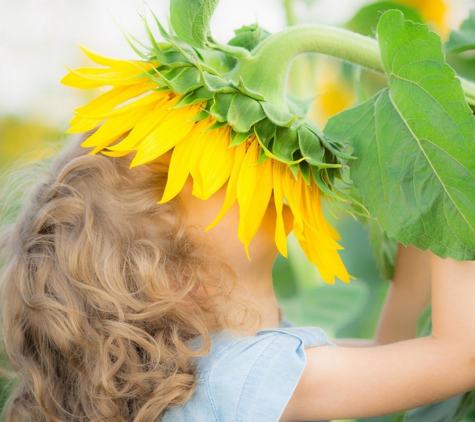 Обои цветы, природа, дети, подсолнух, девочка, flowers, nature, children, sunflower, girl разрешение 1920x1707 Загрузить