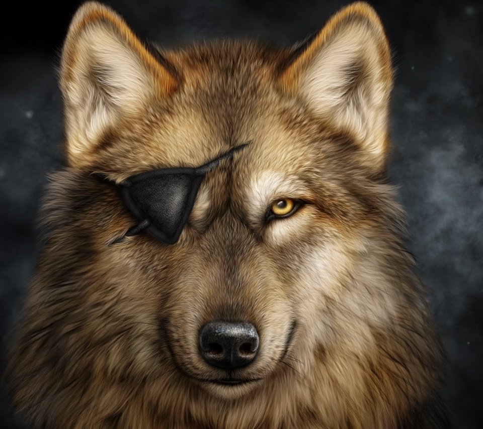 Обои портрет, взгляд, хищник, повязка, волк, одноглазый, portrait, look, predator, headband, wolf, one-eyed разрешение 2000x1419 Загрузить