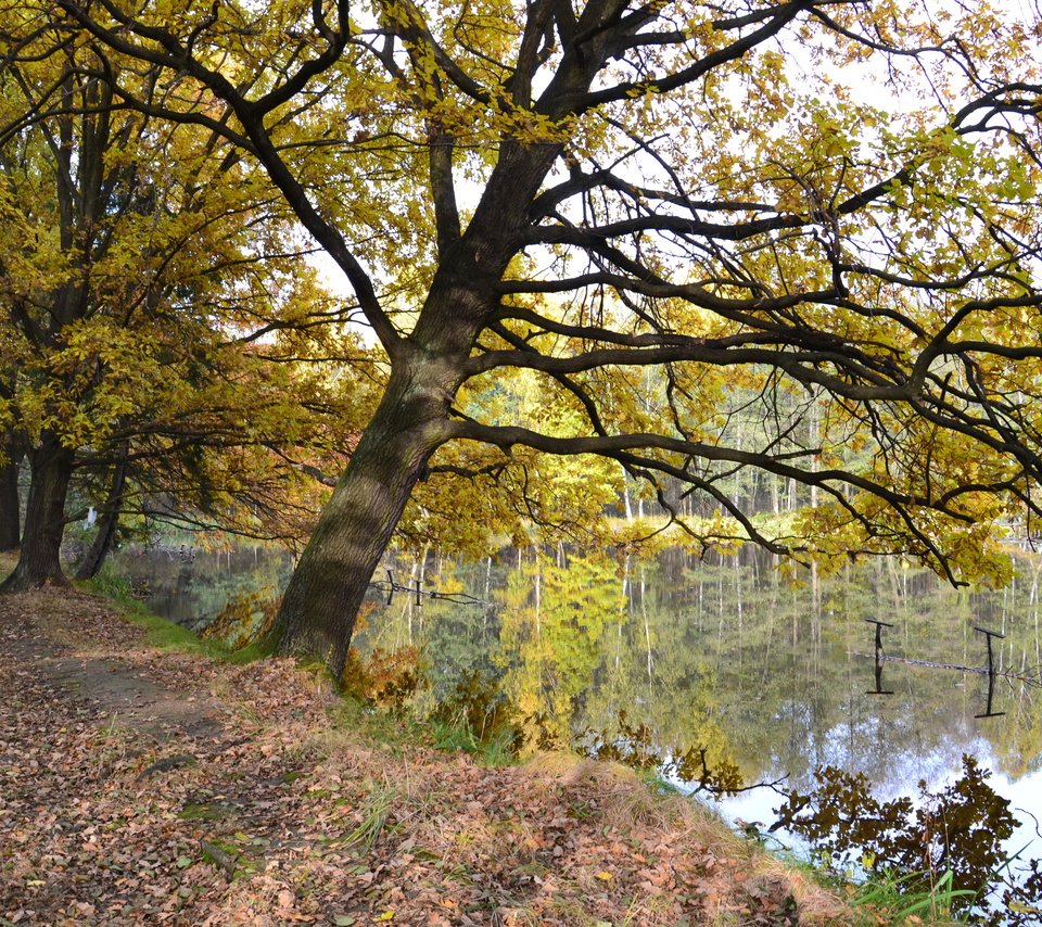 Обои озеро, осень, опадают, лейка, осен, lake, autumn, fall разрешение 4608x3072 Загрузить