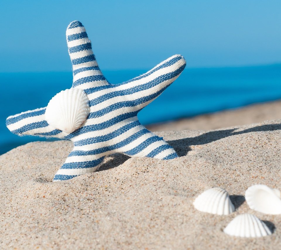 Обои море, песок, пляж, ракушки, голубая, морская звезда, песка, seashells, летнее, sea, sand, beach, shell, blue, starfish, summer разрешение 2848x2170 Загрузить