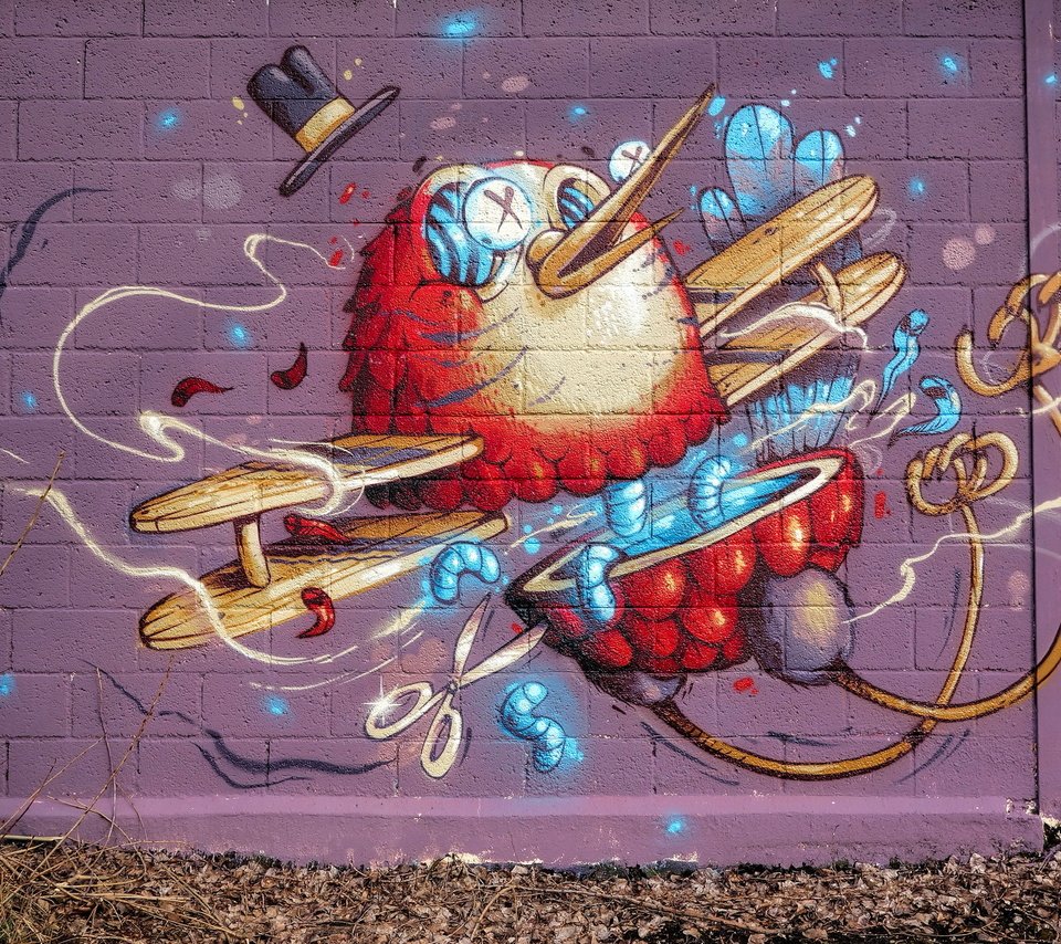 Обои арт, город, стена, птица, графити, art, the city, wall, bird, grafiti разрешение 2047x1310 Загрузить