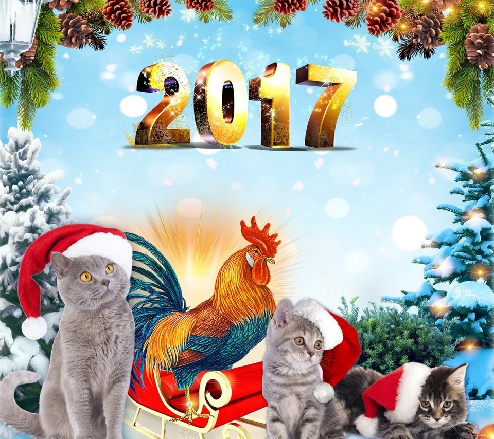 Обои фон, голубой, серые, ели, котята, год, календарь, 2017, год петуха, the year of the rooster, background, blue, grey, ate, kittens, year, calendar разрешение 2560x1600 Загрузить