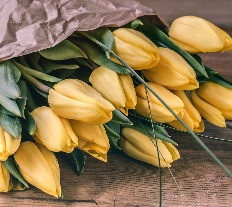 Обои цветы, бутоны, фон, букет, тюльпаны, желтые, flowers, buds, background, bouquet, tulips, yellow разрешение 3000x1937 Загрузить