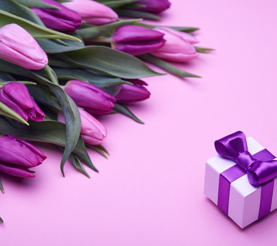 Обои букет, влюбленная, тюльпаны, пинк, розовые, лиловая, подарок, романтик, бант, тульпаны,  цветы, парное, fresh, bouquet, love, tulips, purple, pink, gift, romantic, bow, flowers разрешение 4992x3328 Загрузить