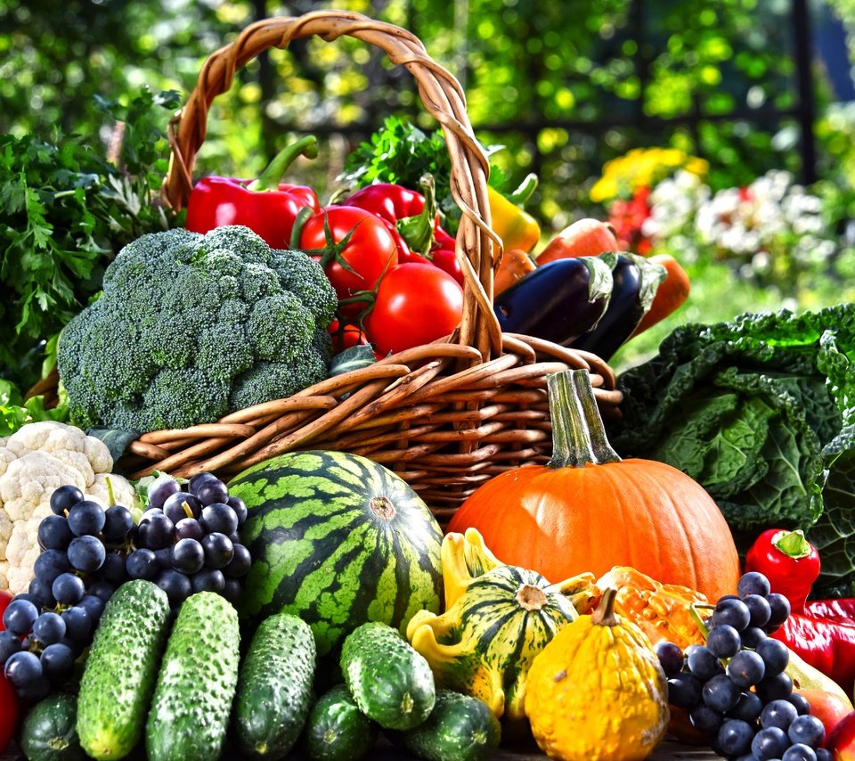 Обои зелень, помидоры, виноград, морковь, фрукты, тыква, яблоки, баклажаны, сад, перец, арбуз, капуста, корзина, брокколи, овощи, огурцы, greens, tomatoes, grapes, carrots, fruit, pumpkin, apples, eggplant, garden, pepper, watermelon, cabbage, basket, broccoli, vegetables, cucumbers разрешение 7360x4912 Загрузить
