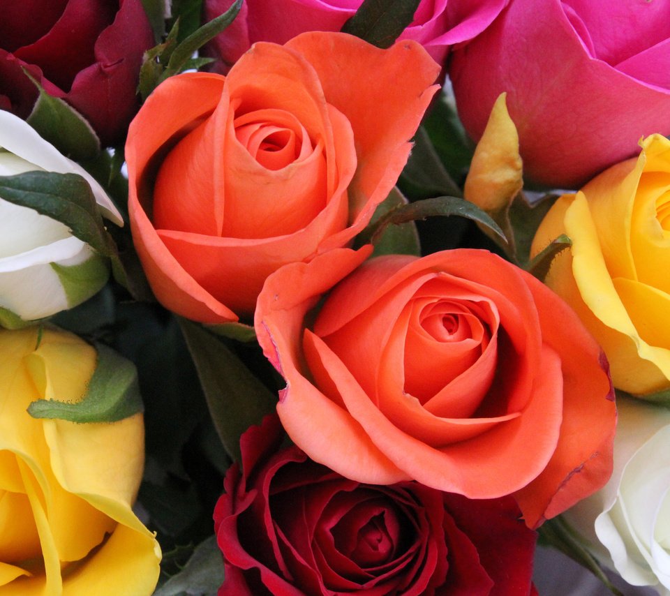 Обои цветы, розы, букет, флора, flowers, roses, bouquet, flora разрешение 2048x1365 Загрузить