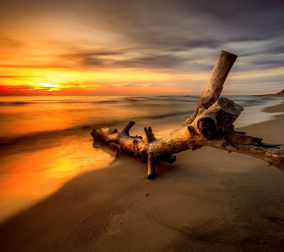 Обои небо, облака, закат, пейзаж, море, пляж, бревно, the sky, clouds, sunset, landscape, sea, beach, log разрешение 1920x1280 Загрузить