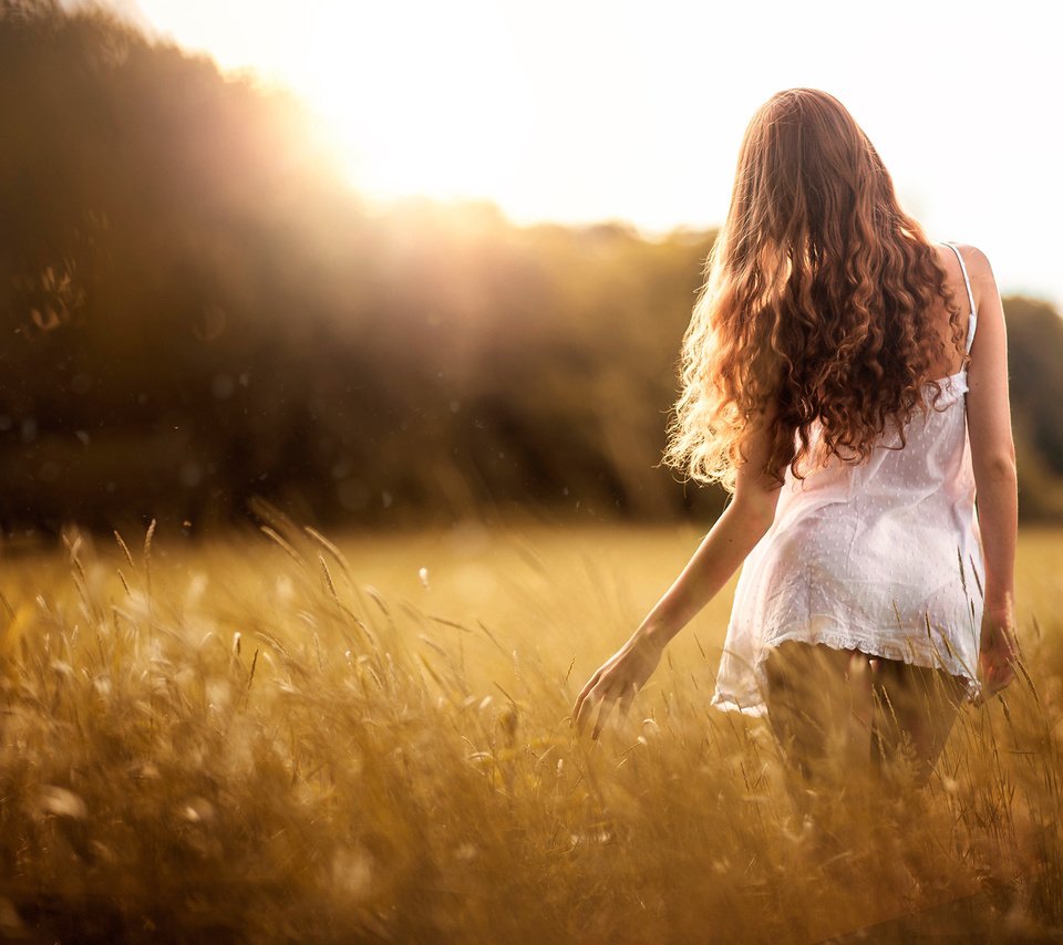 Обои небо, трава, девушка, платье, поле, лето, спина, волосы, the sky, grass, girl, dress, field, summer, back, hair разрешение 2048x1367 Загрузить