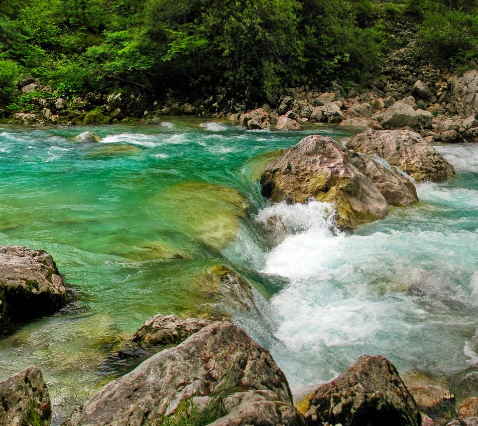 Обои река, камни, пороги, течение, словения, растиьельность, river, stones, thresholds, for, slovenia, rastitelnosti разрешение 2560x1600 Загрузить