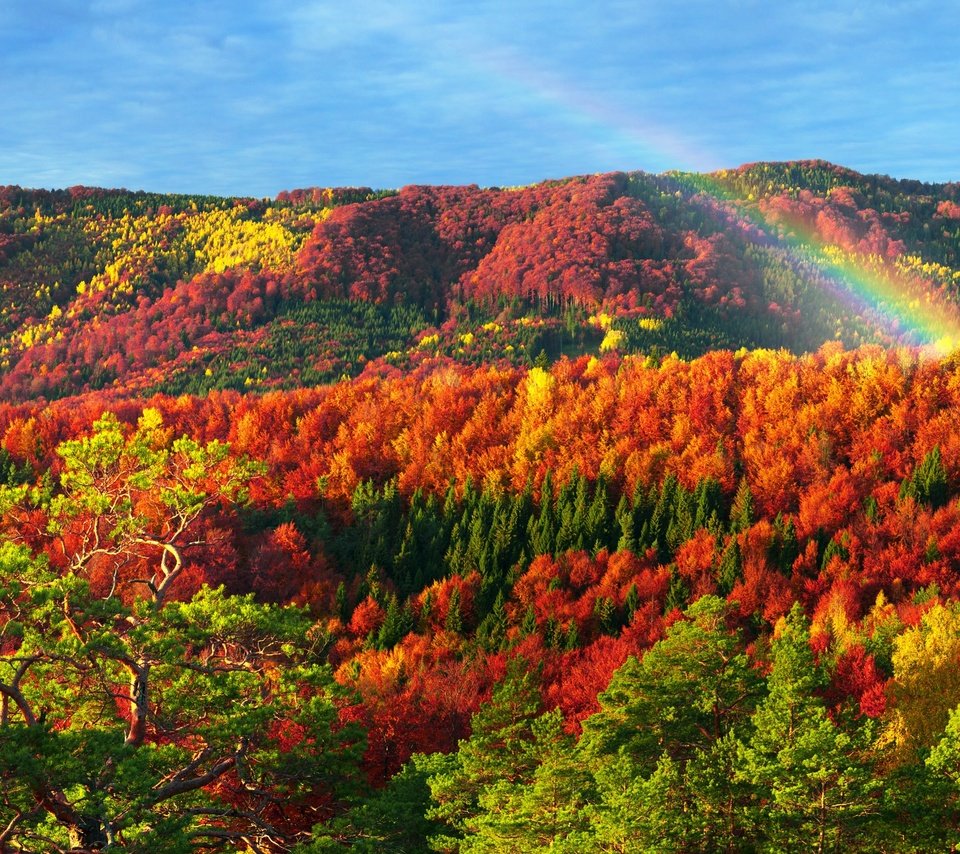 Обои горы, природа, лес, осень, радуга, карпаты, mountains, nature, forest, autumn, rainbow, carpathians разрешение 2880x1800 Загрузить