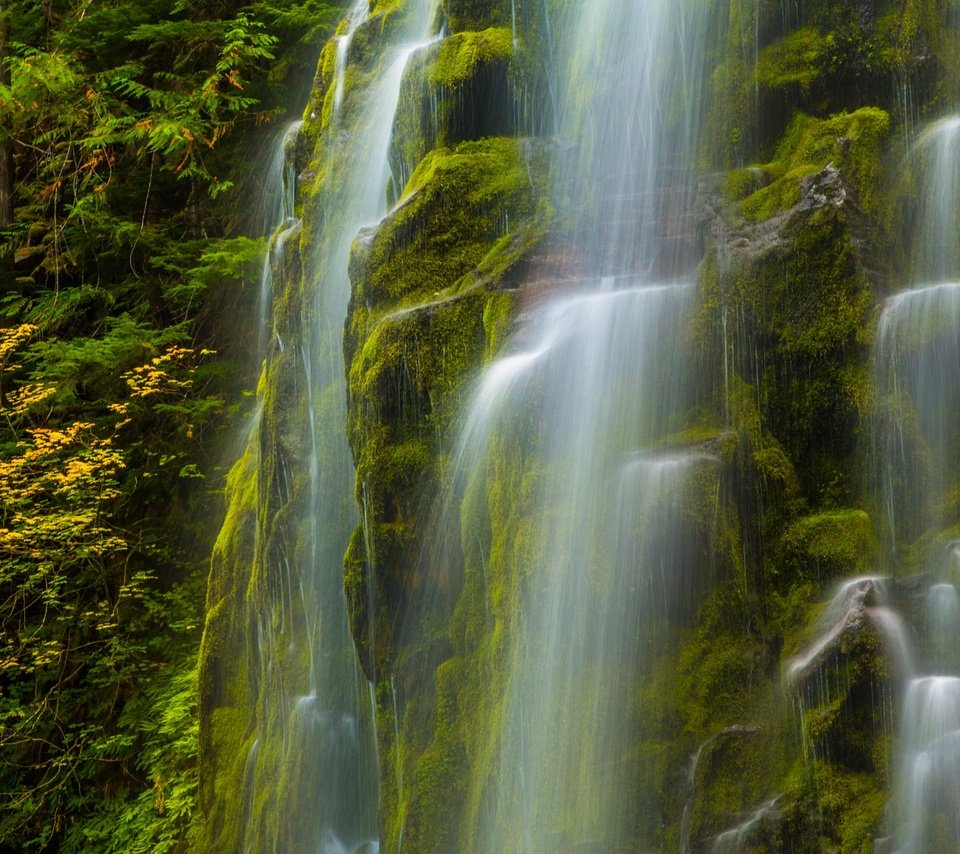 Обои природа, водопад, сша, мох, орегон, nature, waterfall, usa, moss, oregon разрешение 4652x2957 Загрузить