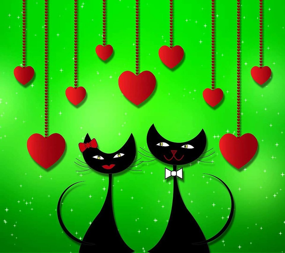Обои взгляд, сердце, коты, кошки, сердечки, зеленый фон, мордочки, влюбленные, look, heart, cats, hearts, green background, faces, lovers разрешение 1920x1080 Загрузить