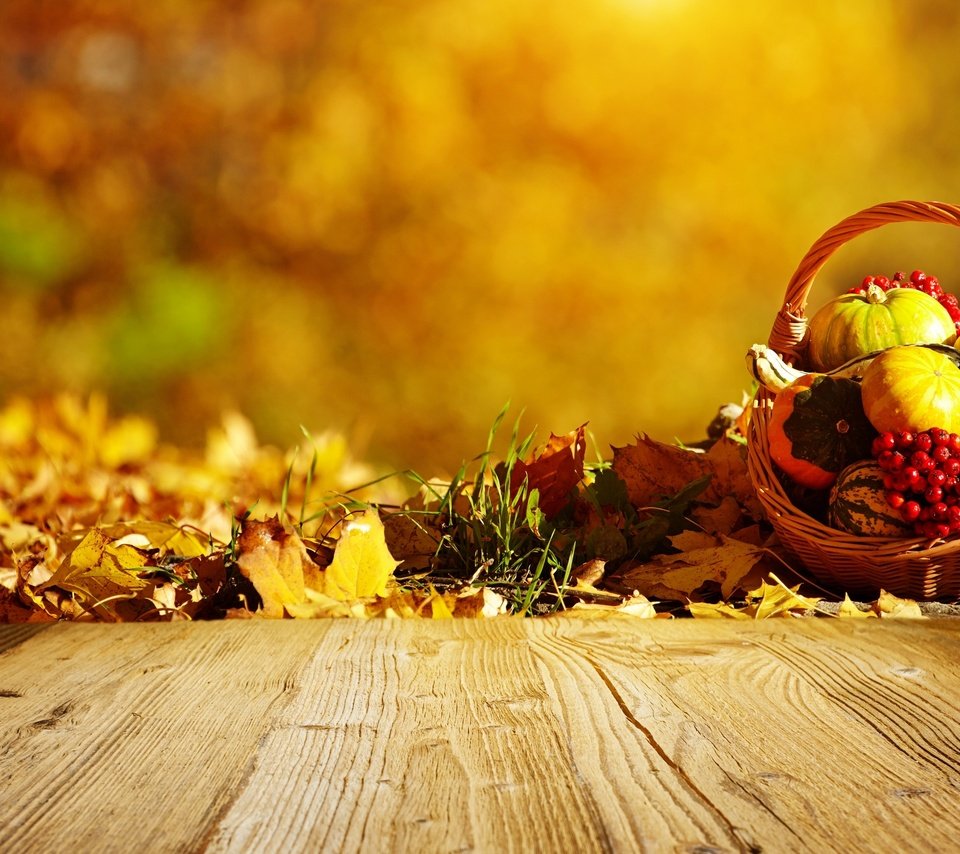 Обои природа, листья, осень, ягоды, тыква, nature, leaves, autumn, berries, pumpkin разрешение 3000x1883 Загрузить