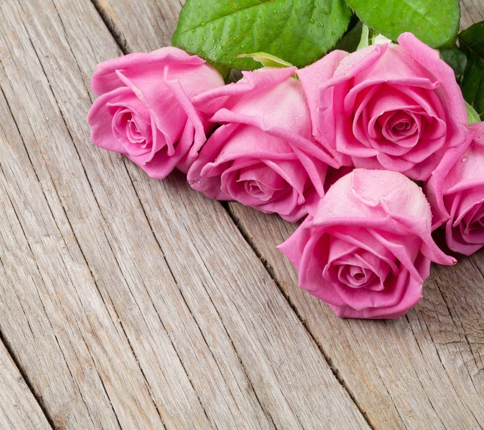 Обои цветы, бутоны, розы, лепестки, доски, букет, flowers, buds, roses, petals, board, bouquet разрешение 3840x2560 Загрузить