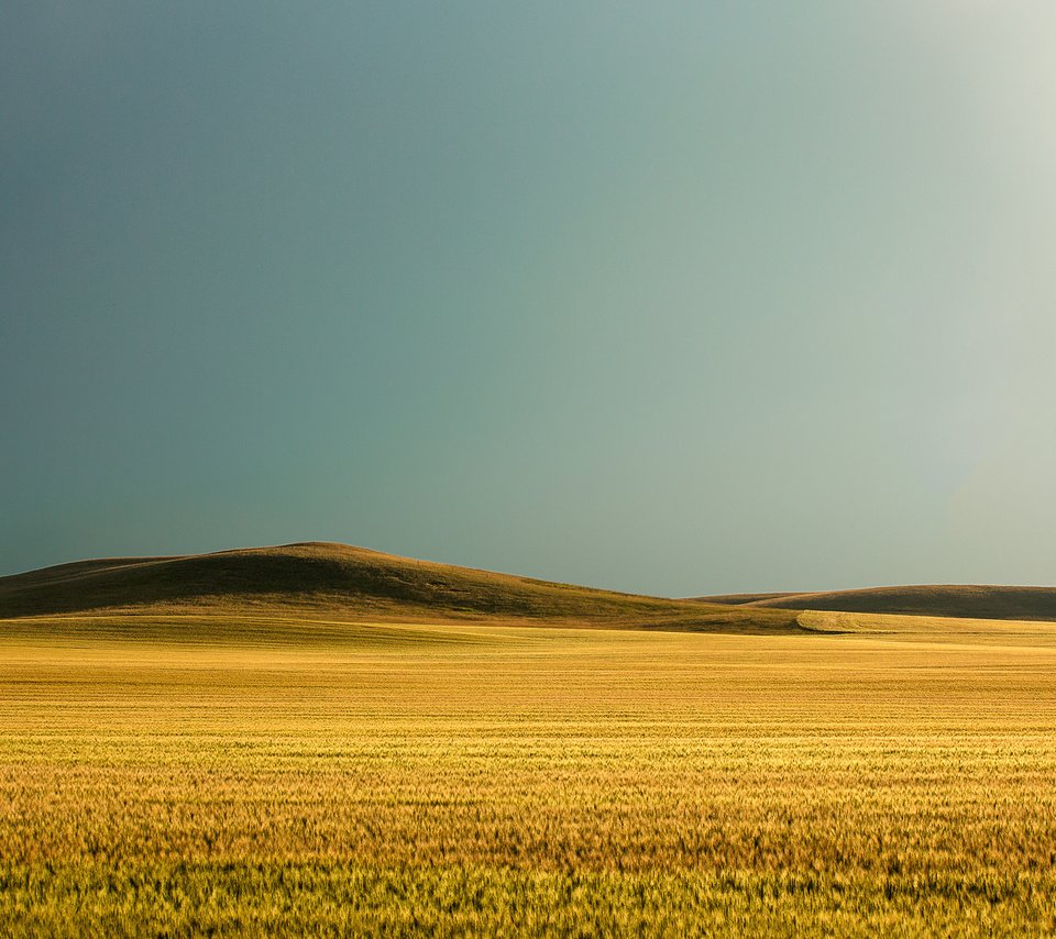 Обои небо, todd klassy, природа, поле, горизонт, сша, пшеница, холм, монтана, the sky, nature, field, horizon, usa, wheat, hill, montana разрешение 2048x1365 Загрузить