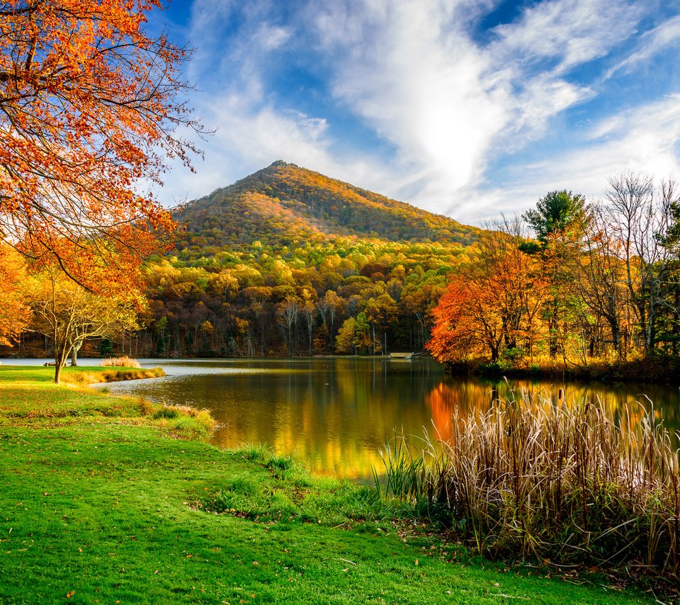 Обои трава, деревья, озеро, гора, осень, grass, trees, lake, mountain, autumn разрешение 3000x1991 Загрузить