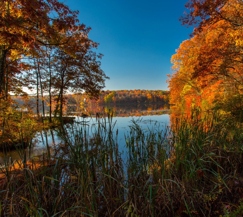 Обои трава, ice lakes, деревья, озеро, природа, осень, сша, колорадо, осень. озеро, grass, trees, lake, nature, autumn, usa, colorado, autumn. lake разрешение 3600x2200 Загрузить